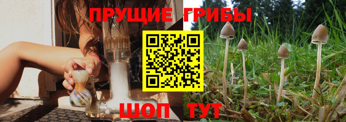 Псилоцибиновые грибы мицелий  Волжский 