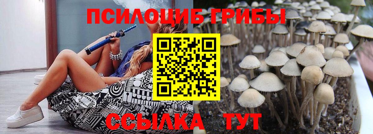 Галлюциногенные грибы Psilocybine cubensis  Галлюциногенные грибы мухоморы  Волжский  Вход с VPN 