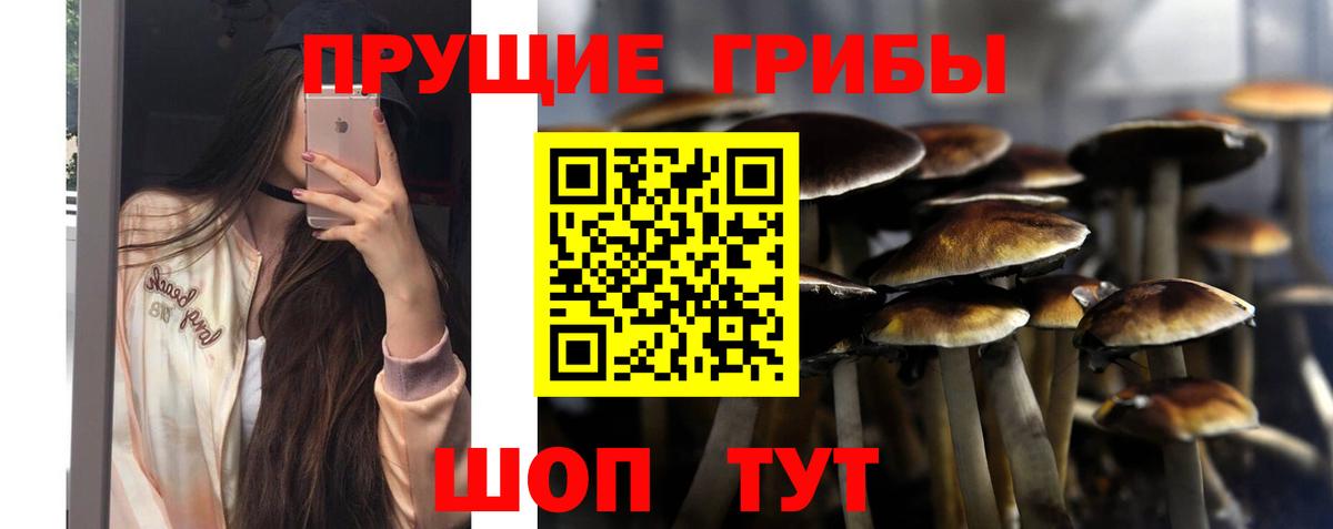 Галлюциногенные грибы мухоморы Волжский